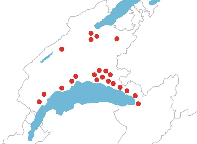 Carte réseau fibre